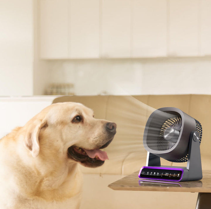 Air Circulator Kalsten