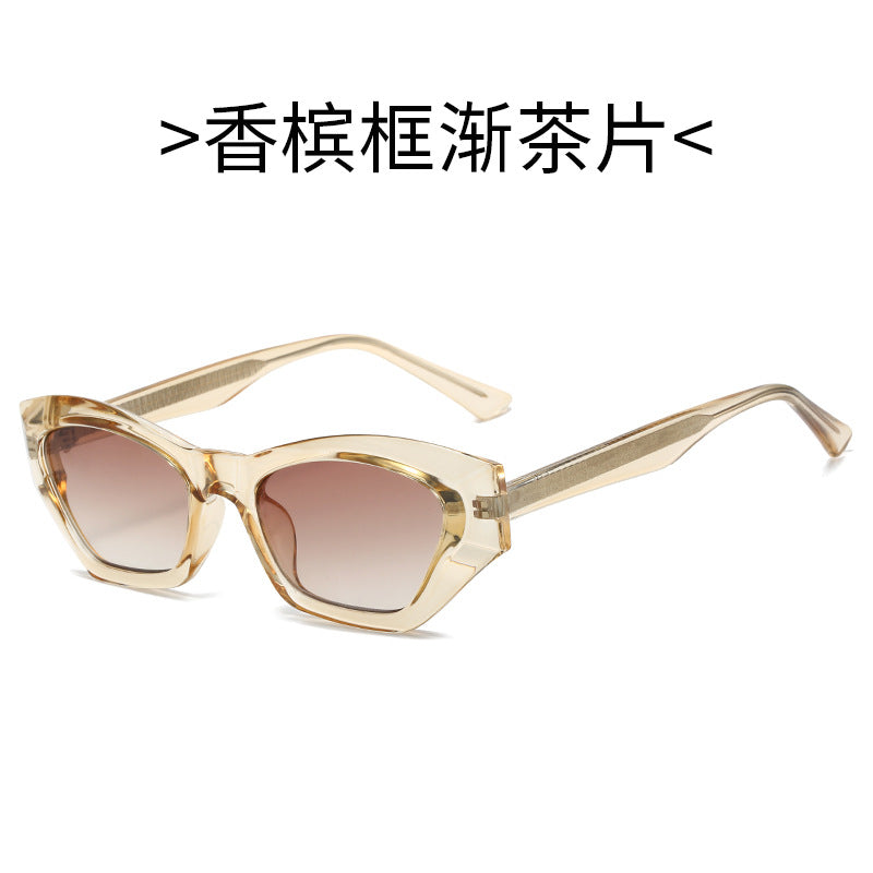 Ladies Cat-Eye Sunglasses with Modern Transparent Accents Kalsten
