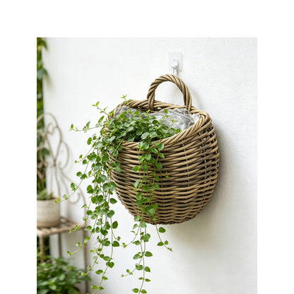 Presentation basket Acalora