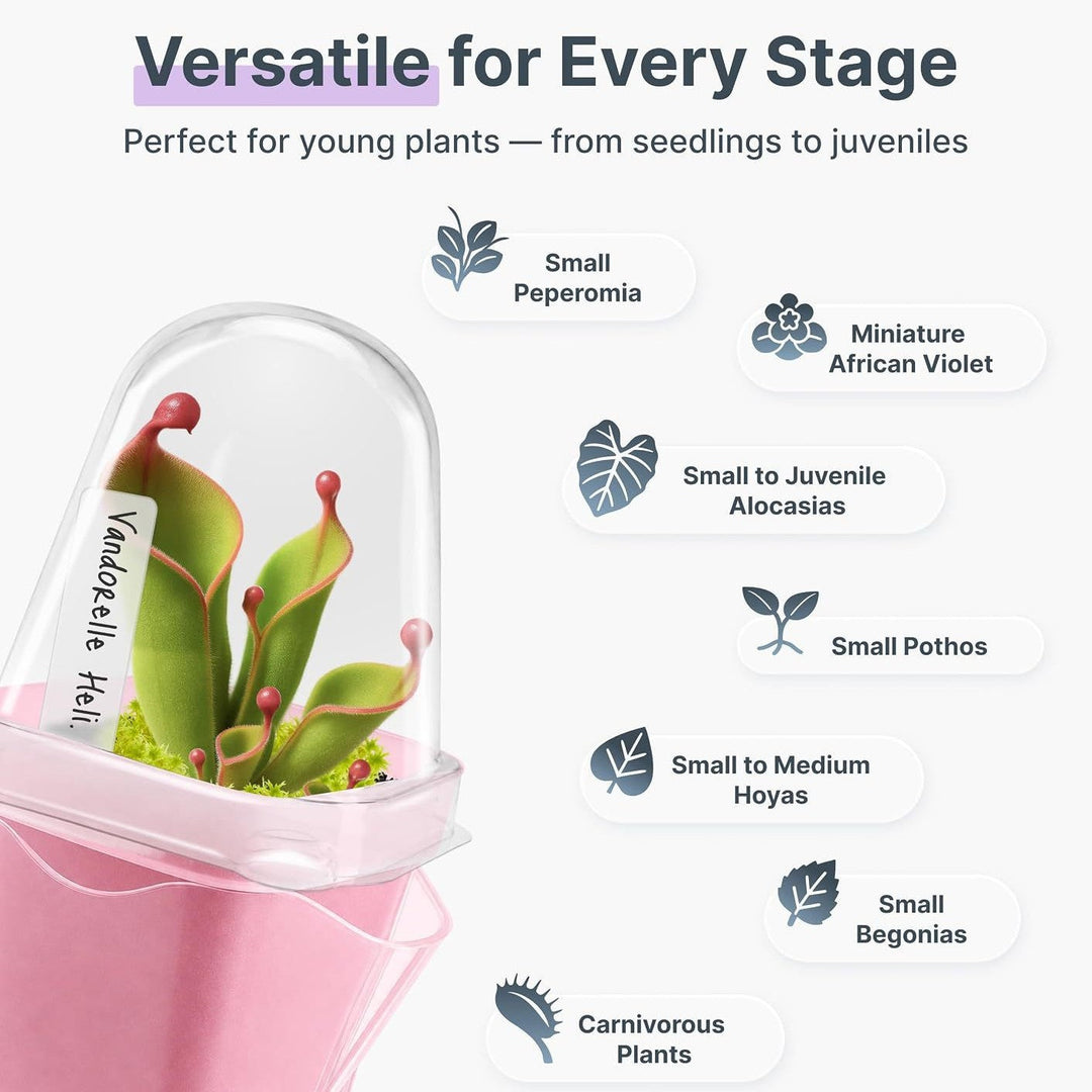 Self-Watering Seed Starter Kit Kalsten