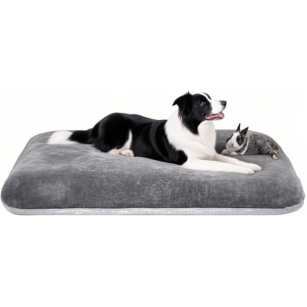Orthopedic Pet Comfort Lounge Bed Dog Bed