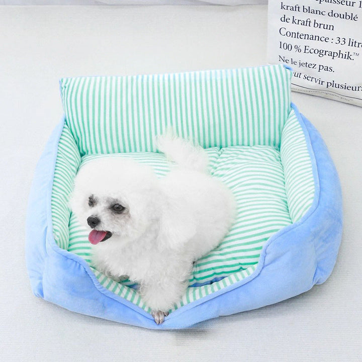 Comfortable Elevated Dog Bed