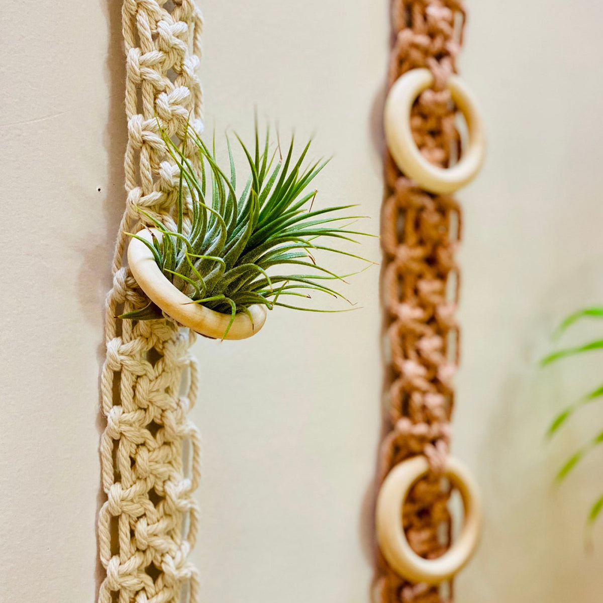 Macrame Wall Plant Holder Acalora