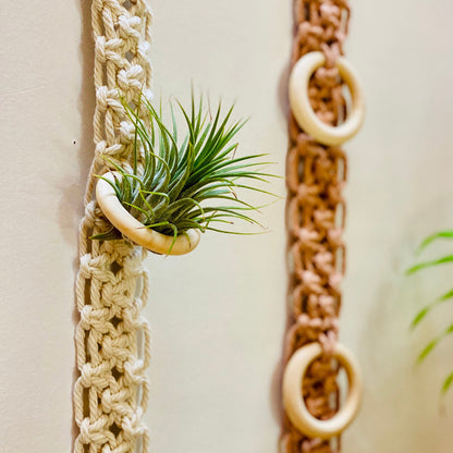 Macrame Wall Plant Holder Acalora