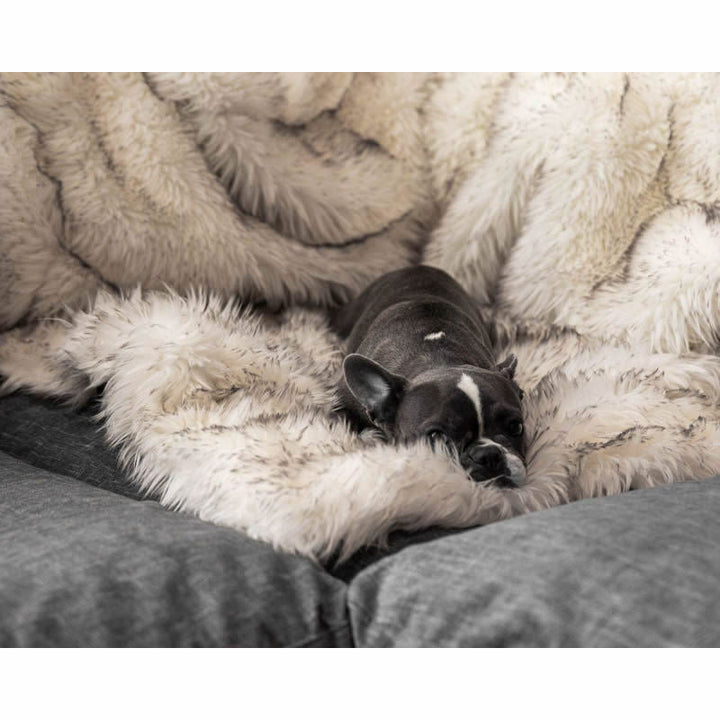 Unisex soft pet blanket with luxurious plush Kalsten