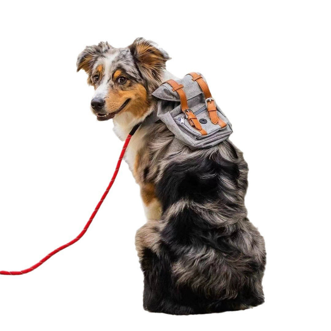 Unisex practical pet backpack with safety closure Kalsten