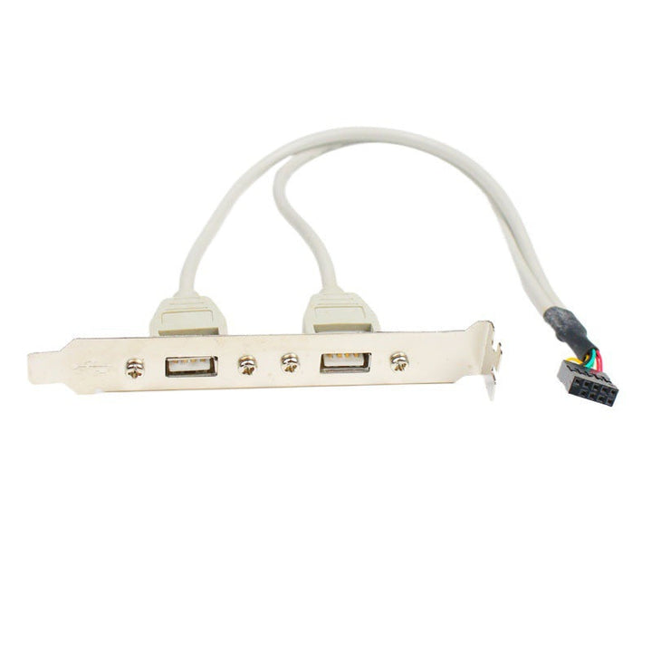 USB Expansion Card with Dual USB Ports Kalsten