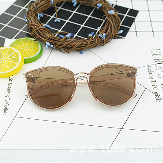 Ladies elegant sunglasses with modern frame Kalsten