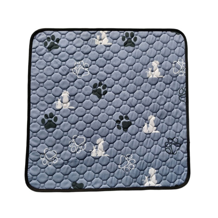 Pet Care