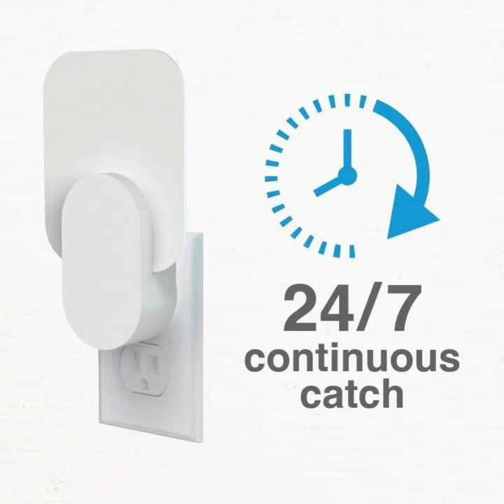 Always-on continuous wall mount magnetic catch and compact organizer for keys and small devices Kalsten