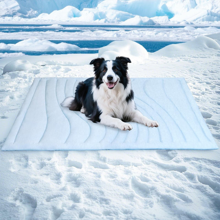 Tier Snuggle Blanket Kalsten