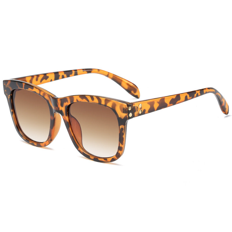 Ladies fashionable sunglasses in contemporary design Kalsten