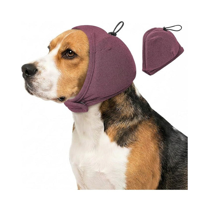 Dog head protection Kalsten