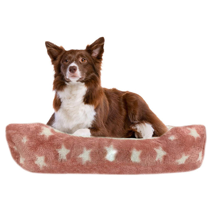 Orthopedic Dog Bed