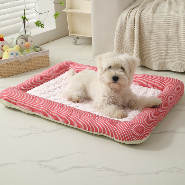 Dog Bed
