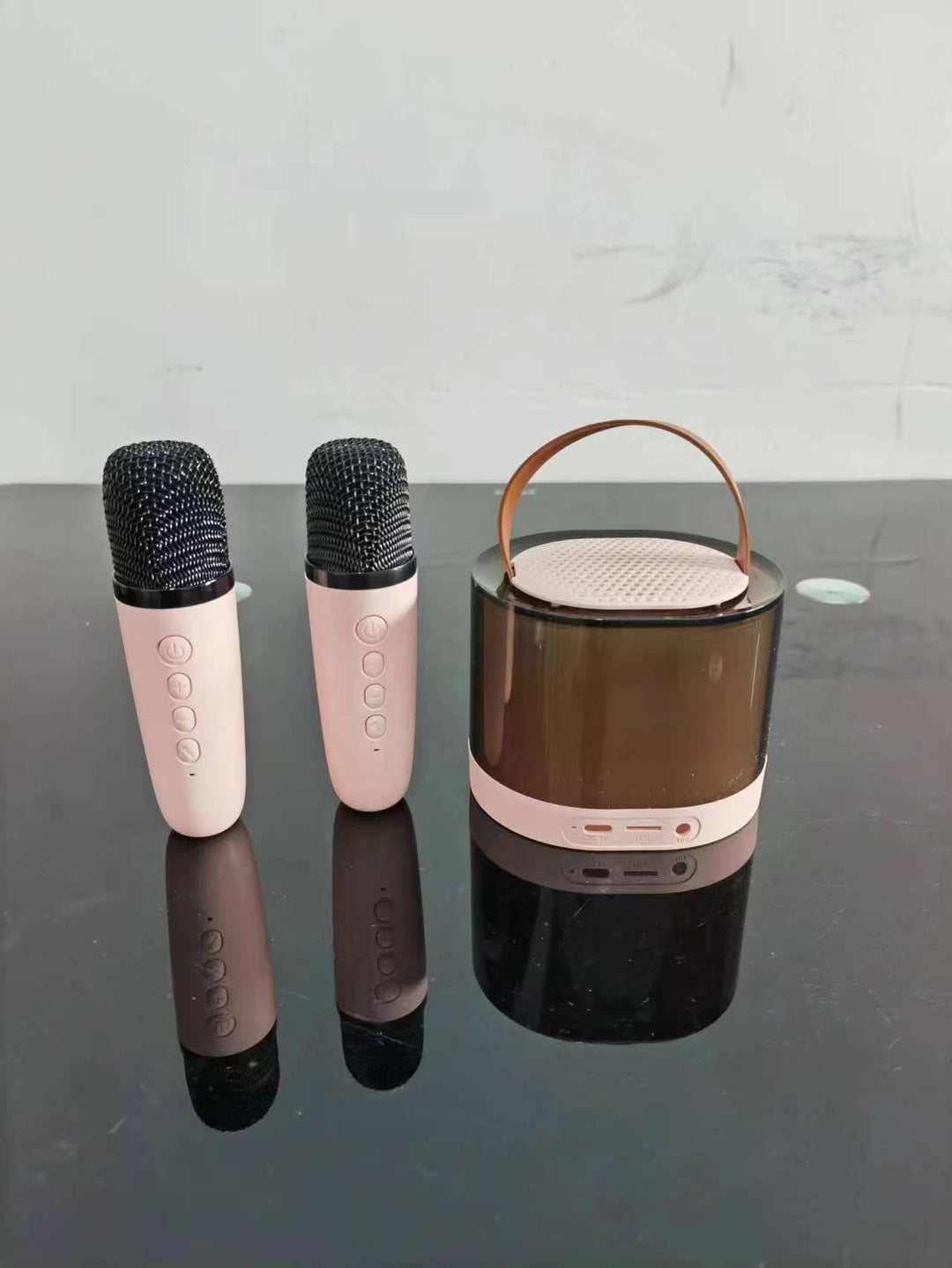 Karaoke Microphone Set Kalsten