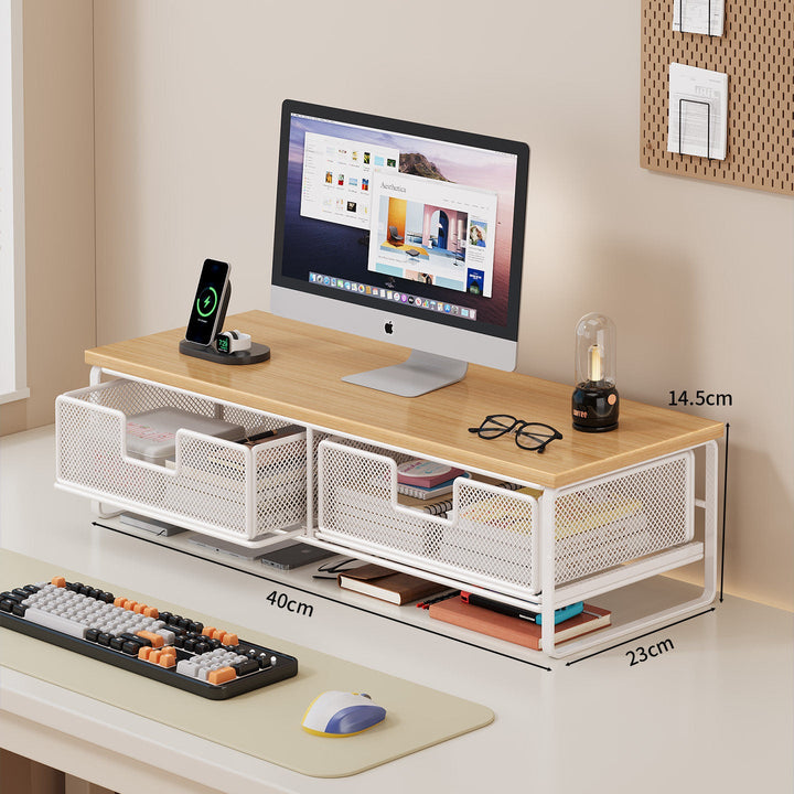Multi-Functional Wire Mesh Desktop Organizer Kalsten
