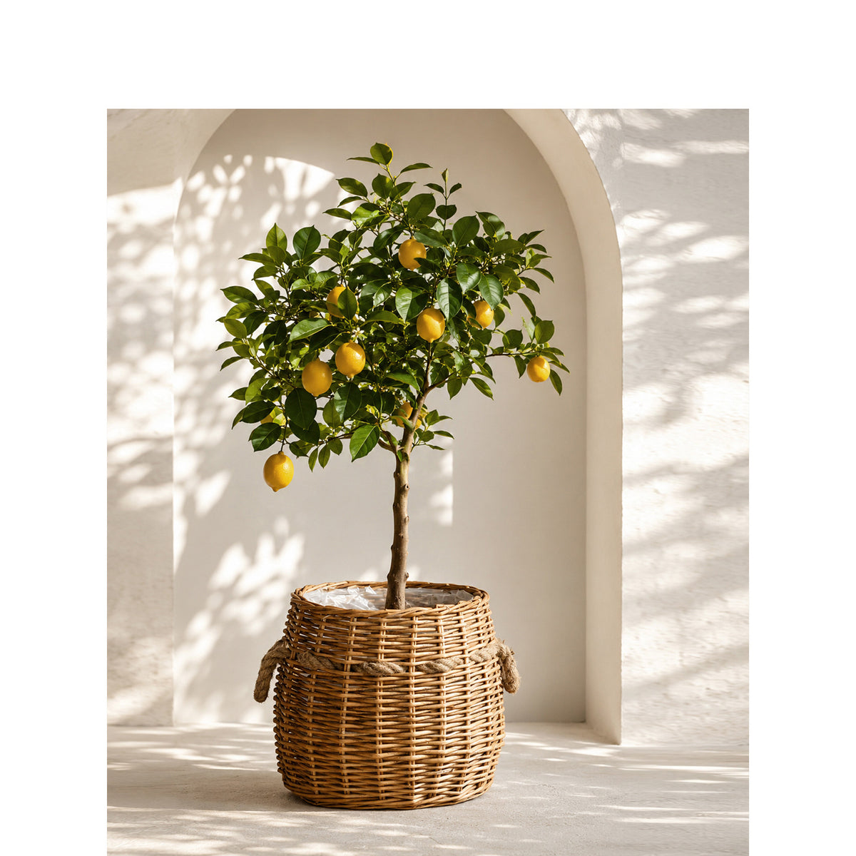 Storage basket Acalora