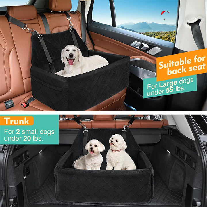 Safety Dog Transport Box Kalsten