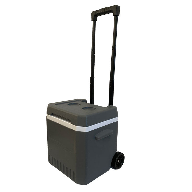 Ladies cooler bag with extendable handle and wheels Kalsten