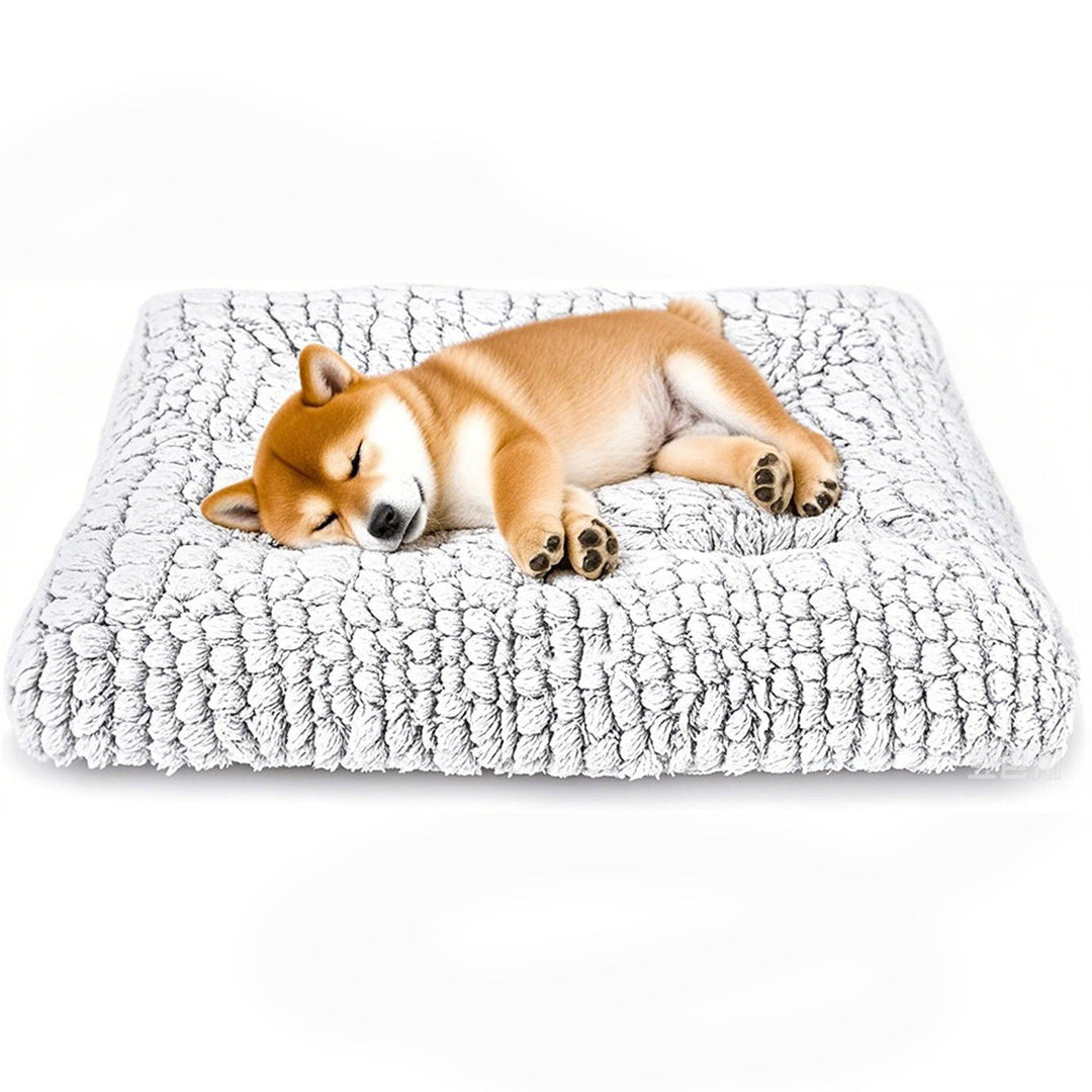 Luxurious Orthopedic Dog Bed