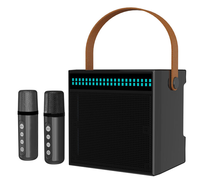 Portable Karaoke System with Dual Microphones Kalsten