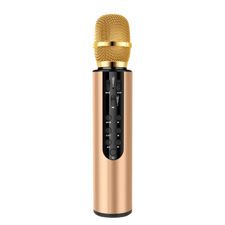 High-Performance Karaoke Microphone Kalsten