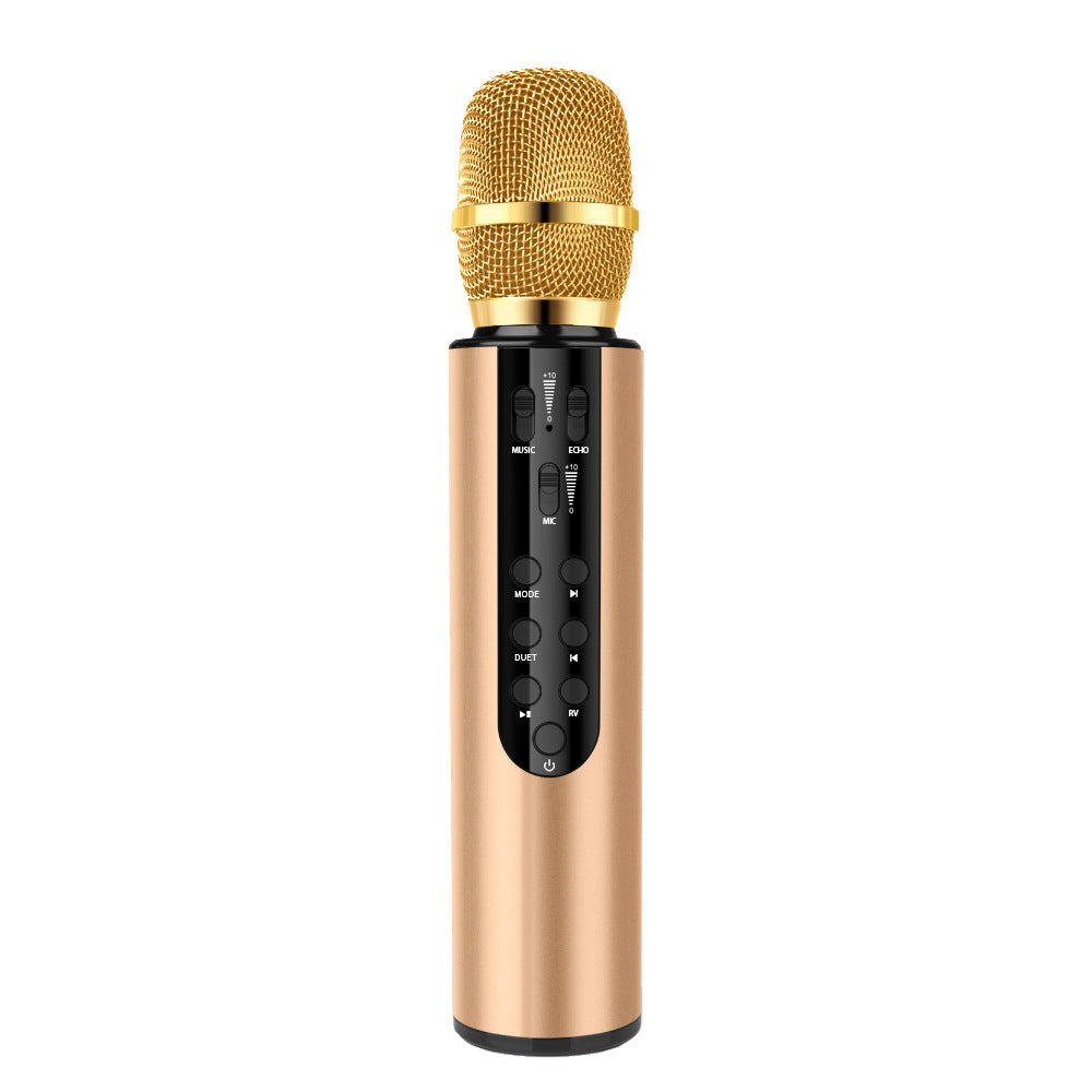 Wireless Karaoke Microphone with Echo Control Kalsten