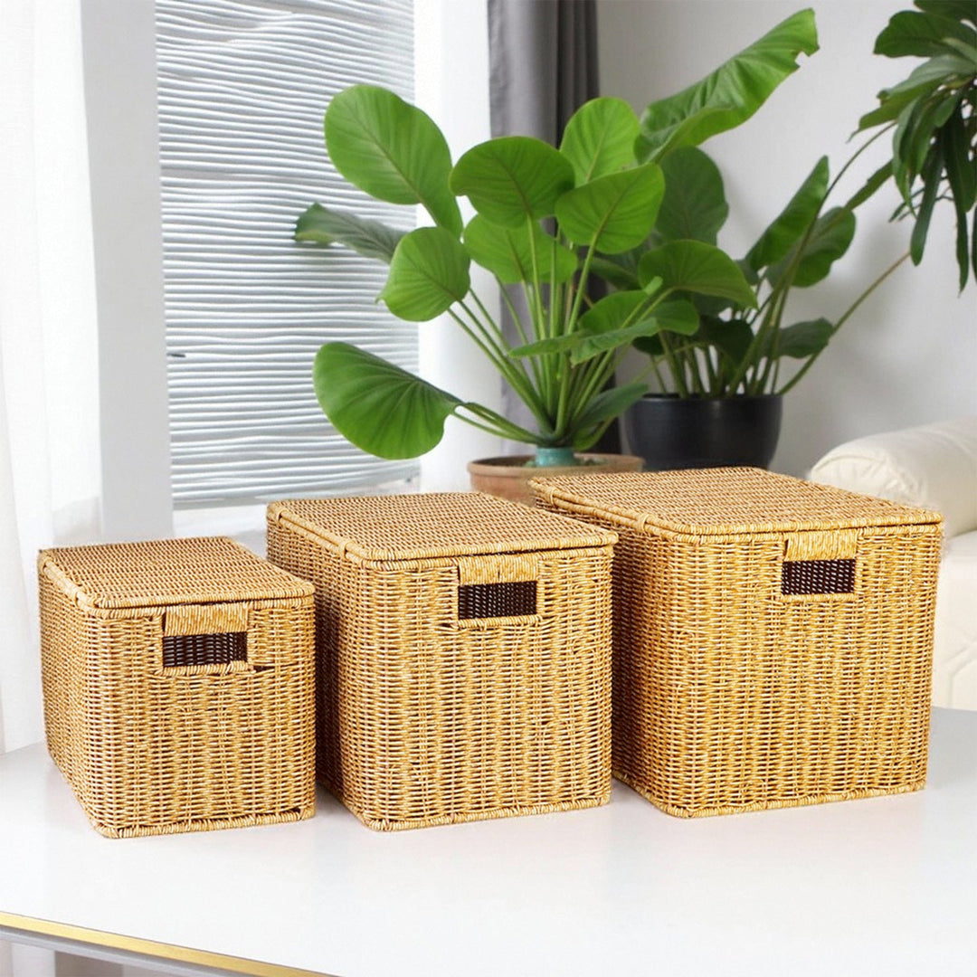 Ladies Generous Storage Basket with Lid Kalsten