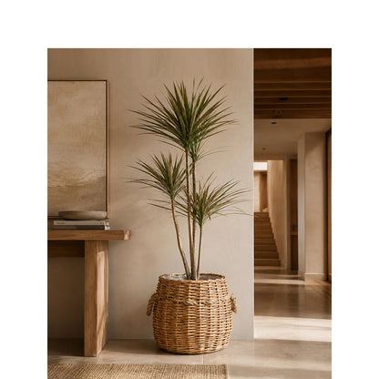 Storage basket Acalora