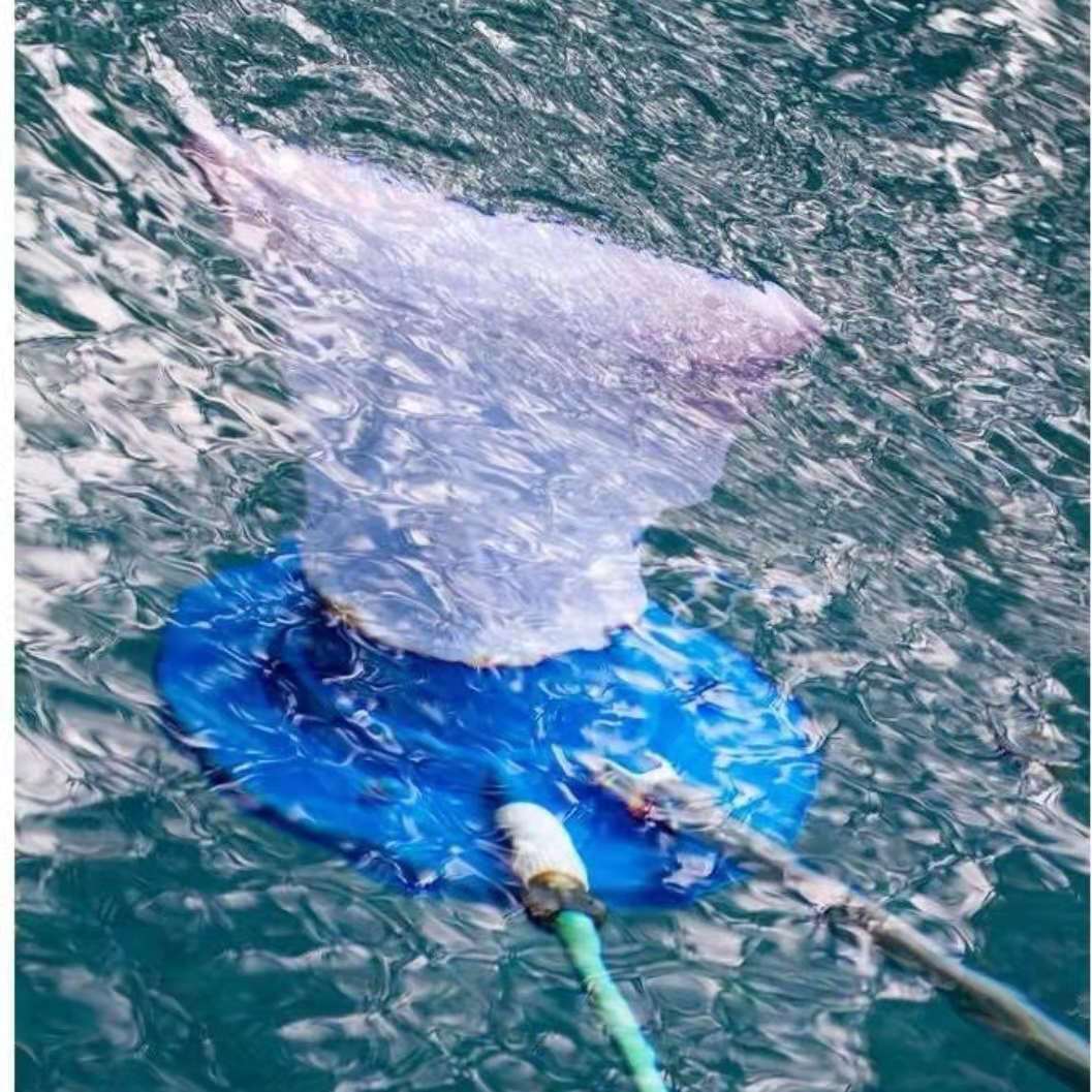 Automatic suction pool leaf vacuum bag with reusable fine mesh and universal hose connector Kalsten