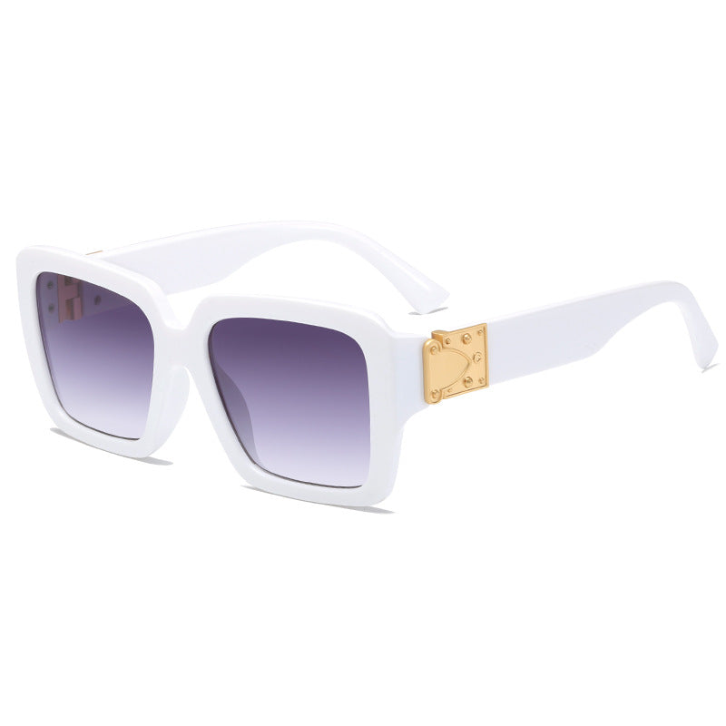 Women's oversized fashionable sunglasses with luxurious metal accents Kalsten