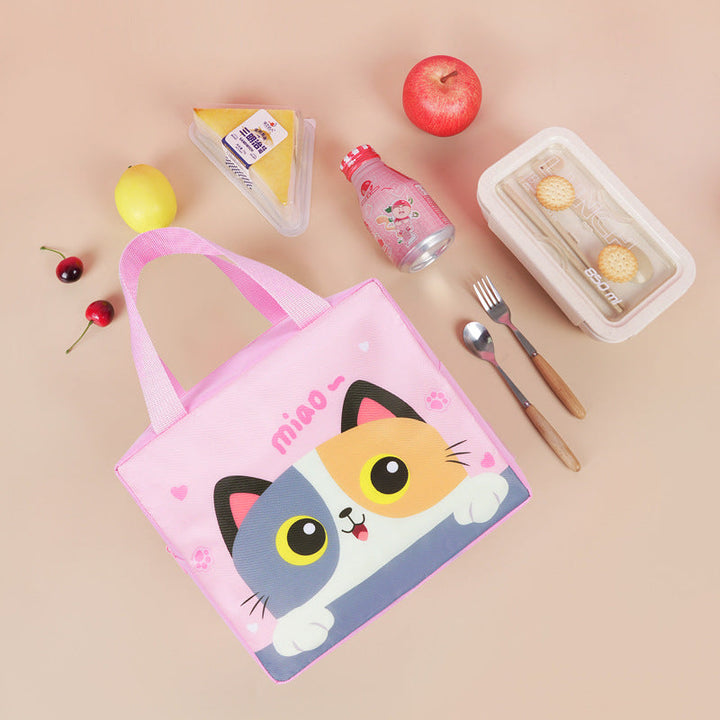 Insulated lunch and storage bag Kalsten