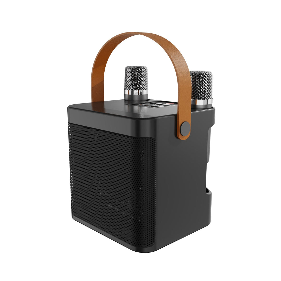 Wireless Karaoke Sound System Kalsten