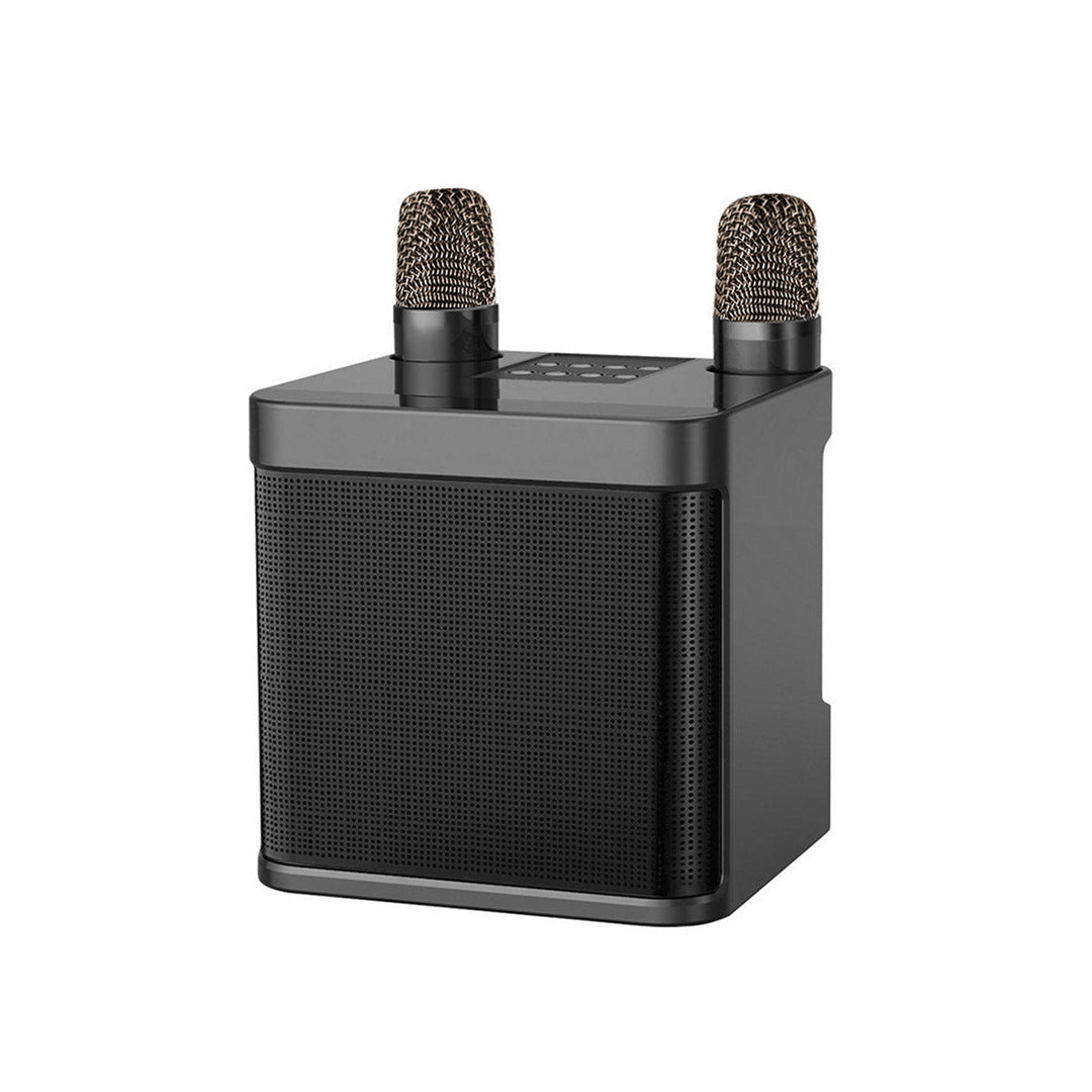Wireless Karaoke Sound System Kalsten