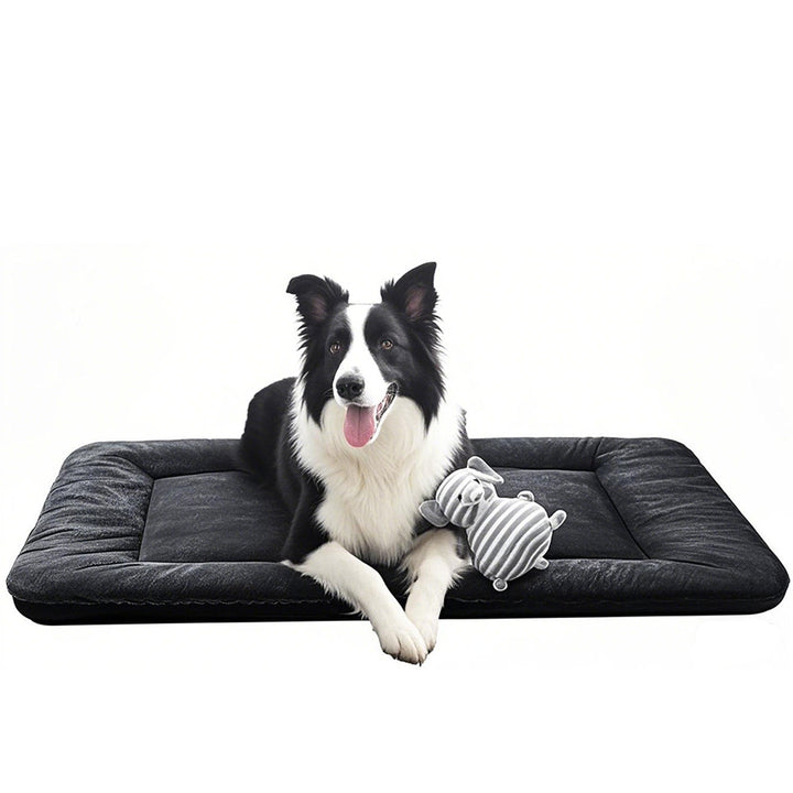 Orthopedic Supportive Dog Bed