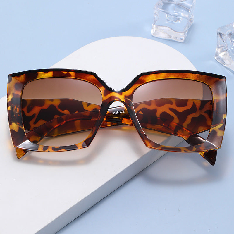 Women's Extravagant Oversized Sunglasses in Modern Design Kalsten