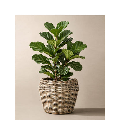 Decorative plant basket with plastic inner bag Acalora
