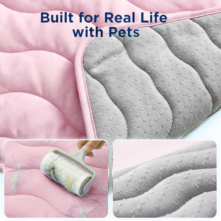 Ladies orthopedic dog bed Kalsten