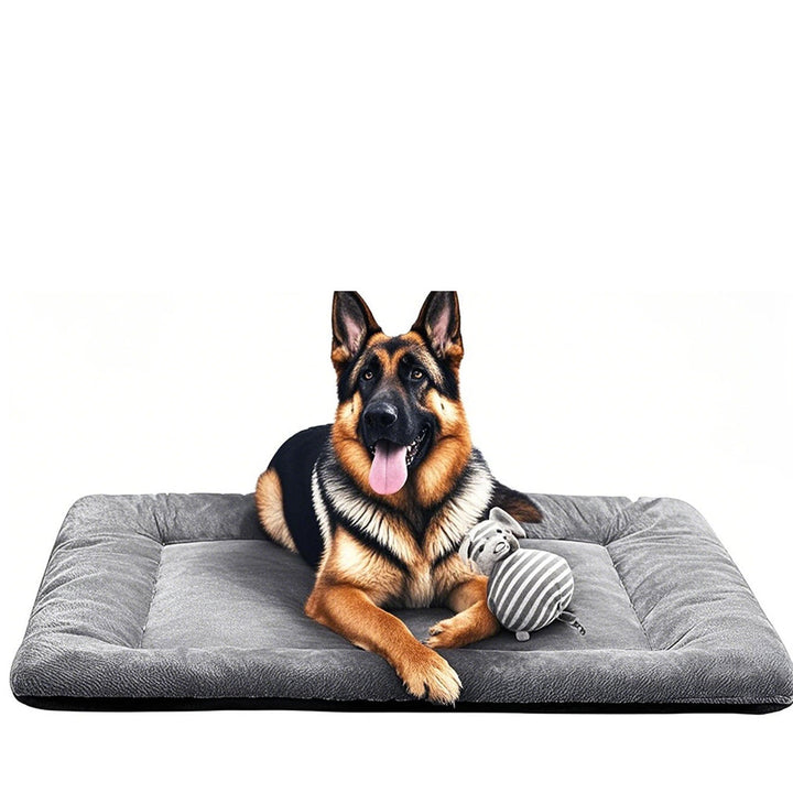 Orthopedic Supportive Dog Bed