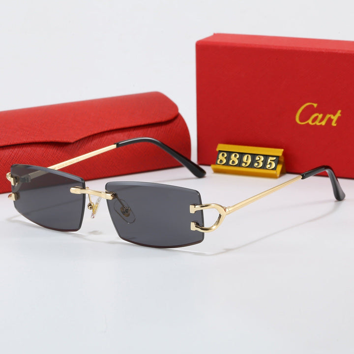 Women Elegant Minimalist Sunglasses with Unique Metal Details Kalsten