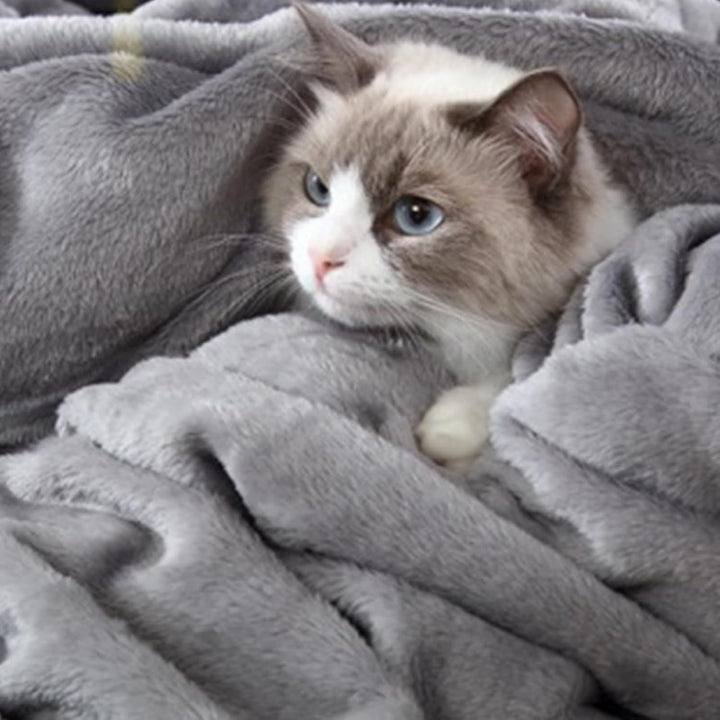 Ladies Snuggle Blanket Kalsten