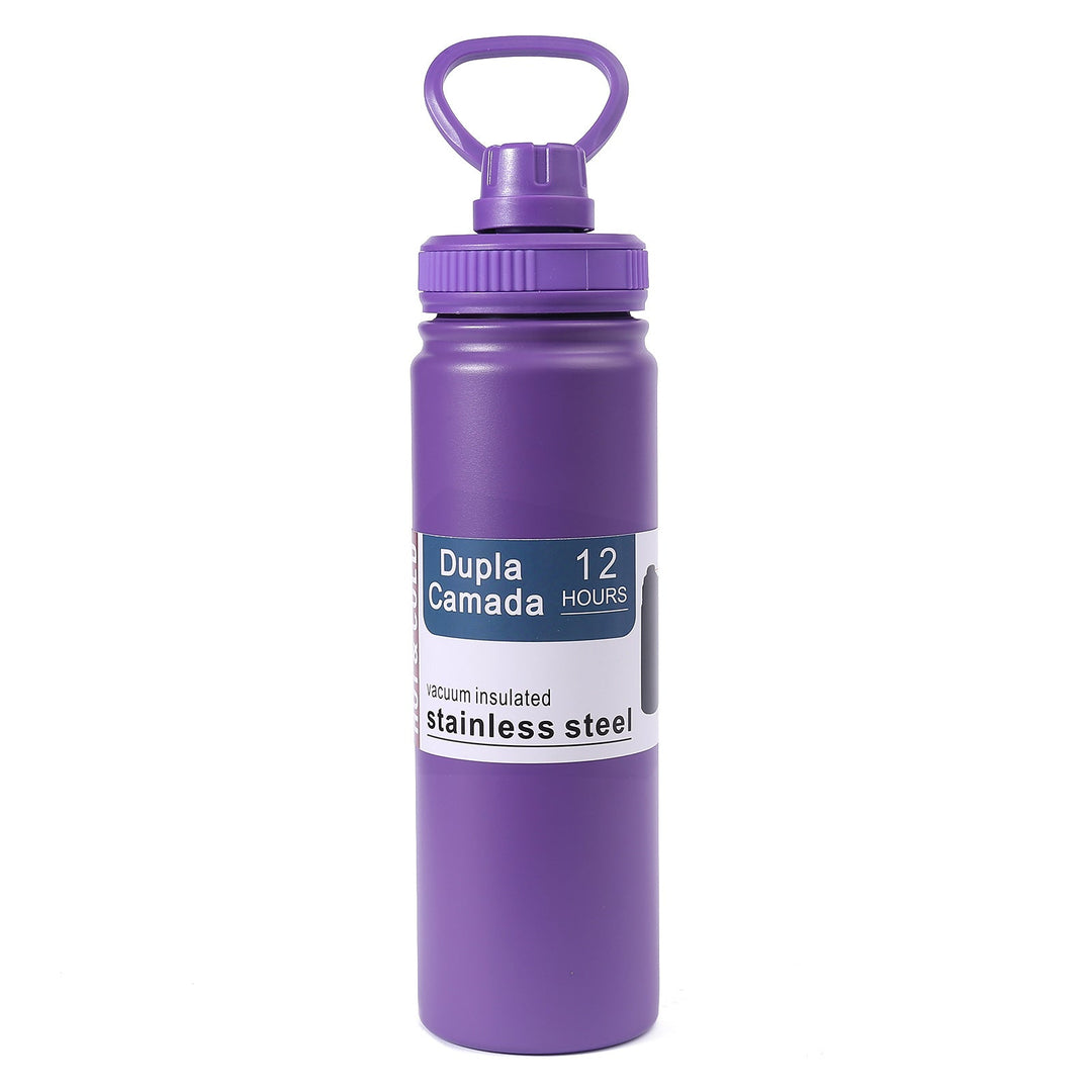 Ladies stainless steel vacuum water bottle with ergonomic handle Kalsten