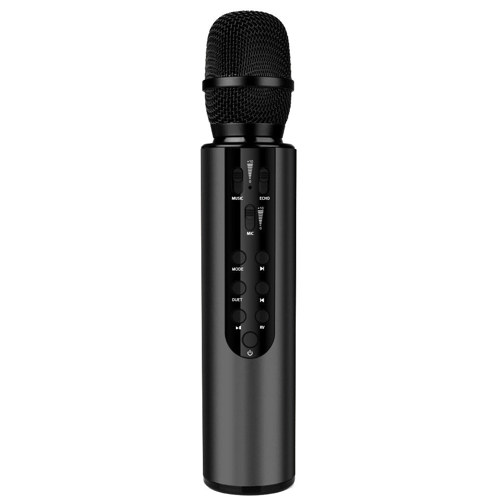 Wireless Karaoke Microphone with Echo Control Kalsten