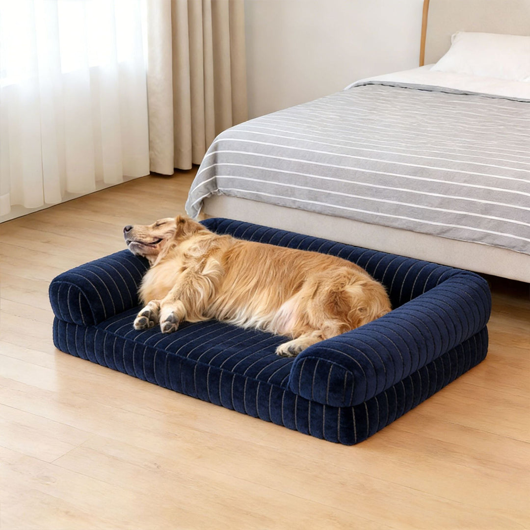 Elegant Bolstered dog Sofa