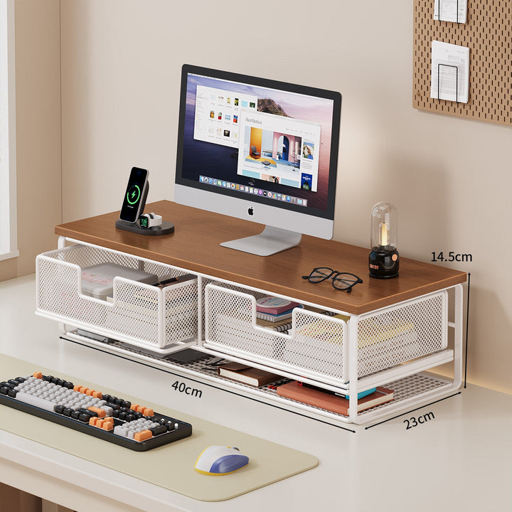 Multi-Functional Wire Mesh Desktop Organizer Kalsten