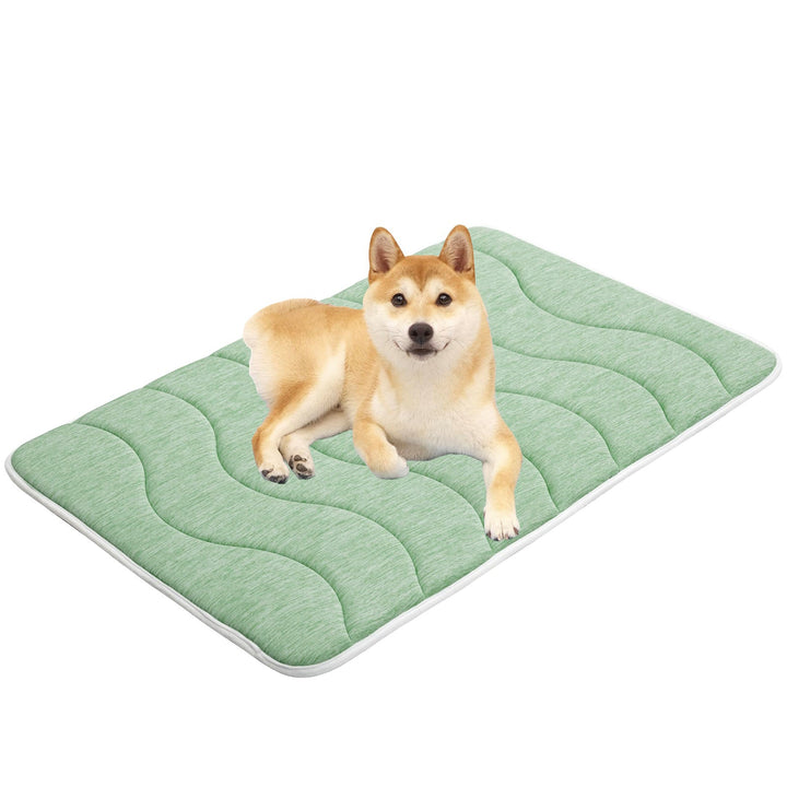 Ladies orthopedic dog bed Kalsten