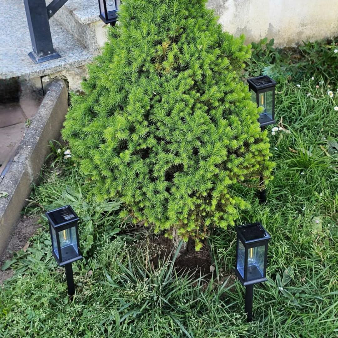 Kalsten | Wireless Solar Garden Lantern – GlowPath