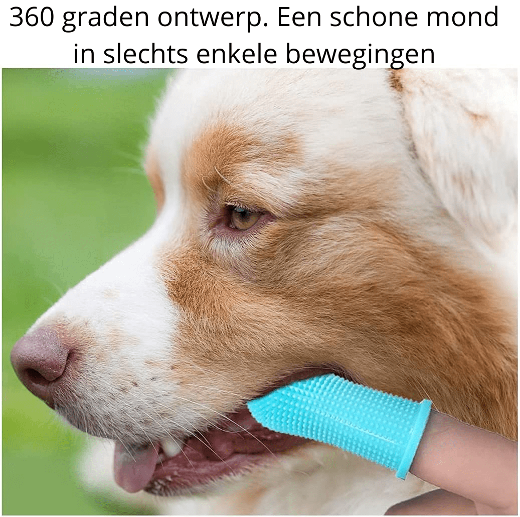Kalsten | PAWCLEAN PRO – 360° Silicone Finger Toothbrush for Stress-Free Dental Care for Dogs