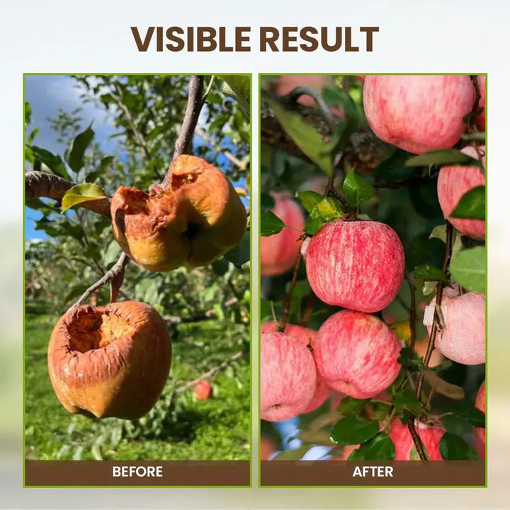 Kalsten | Organic Soil Activator for Robust Plant Growth